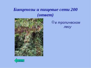 Биоценозы и пищевые сети 200 (ответ) в тропическом лесу