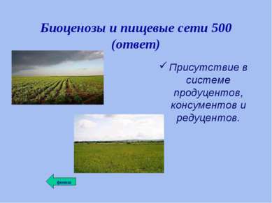 Биоценозы и пищевые сети 500 (ответ) Присутствие в системе продуцентов, консу...