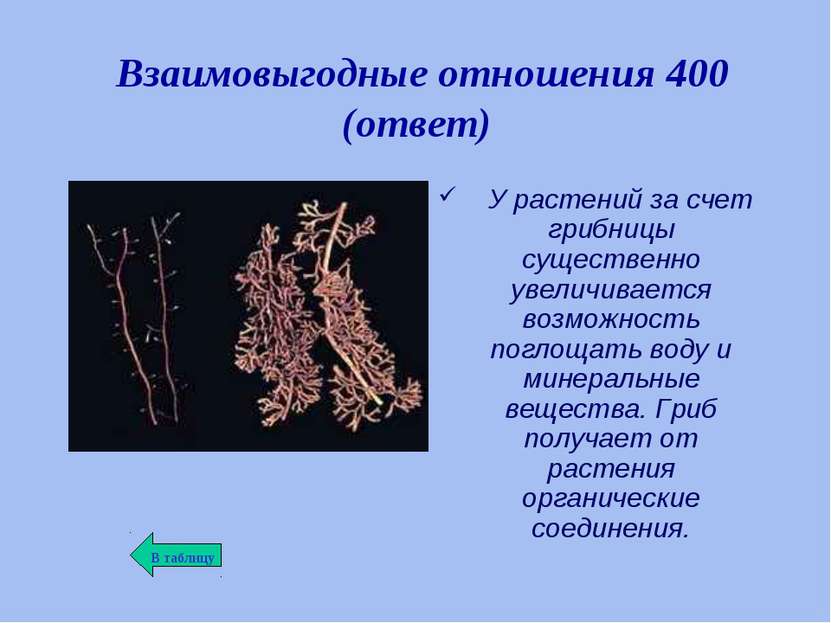 Взаимовыгодные отношения 400 (ответ) У растений за счет грибницы существенно ...