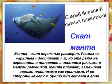 Манта - скат огромных размеров. Размах ее «крыльев» достигает 7 м, но эта рыб...