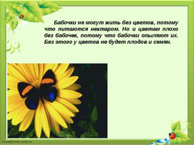 Бабочки не могут жить без цветов, потому что питаются нектаром. Но и цветам п...