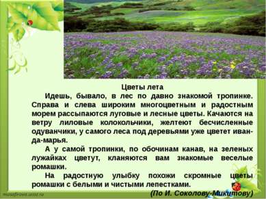 Цветы лета Идешь, бывало, в лес по давно знакомой тропинке. Справа и слева ши...