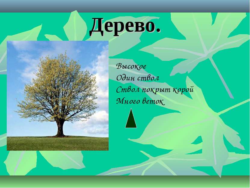 Слова как листья на дереве. Дерево для проекта. Стихи про деревья для детей. Стихотворение про дерево. Стих со словом дерево.