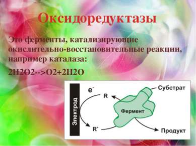 Оксидоредуктазы Это ферменты, катализирующие окислительно-восстановительные р...
