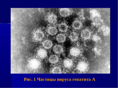 Рис. 1 Частицы вируса гепатита А