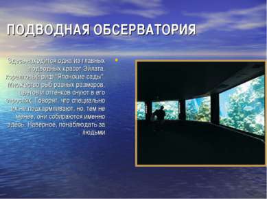 ПОДВОДНАЯ ОБСЕРВАТОРИЯ Здесь находится одна из главных подводных красот Эйлат...