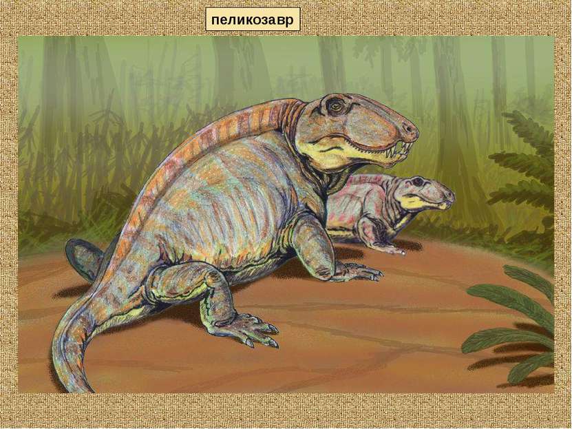 пеликозавр