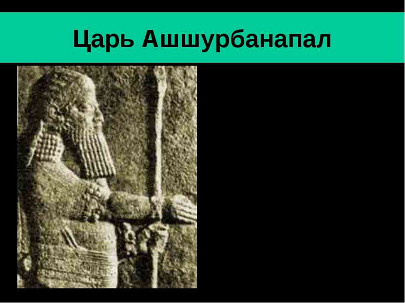 Царь Ашшурбанапал Ашшурбанапал- последний значительный царь Ассирии (669-630 ...
