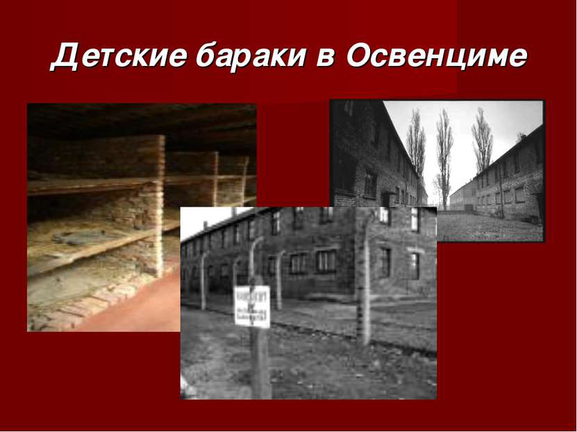 Детские бараки в Освенциме