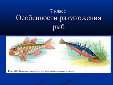 Особенности размножения рыб 7 класс