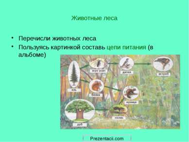 Животные леса Перечисли животных леса Пользуясь картинкой составь цепи питани...