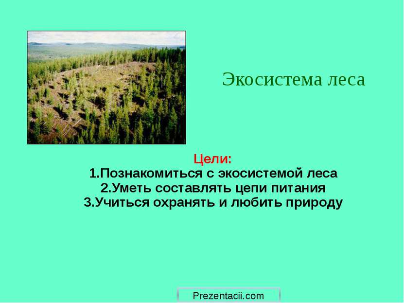 Цели: 1.Познакомиться с экосистемой леса 2.Уметь составлять цепи питания 3.Уч...