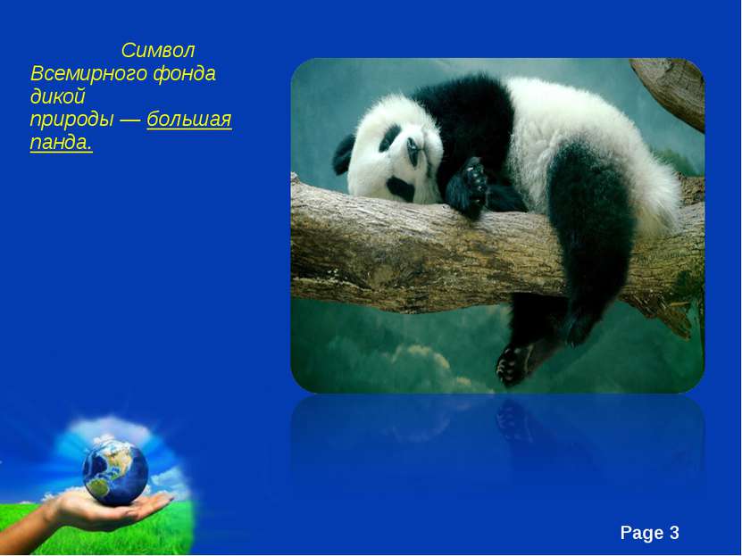 Символ Всемирного фонда дикой природы — большая панда. Free Powerpoint Templa...