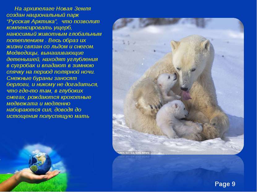 На архипелаге Новая Земля создан национальный парк “Русская Арктика”,  что по...