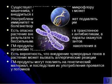 Существует опасность влияния на микрофлору кишечника, то есть чужеродный ген ...