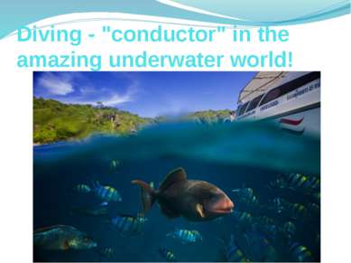 Diving - "conductor" in the amazing underwater world!