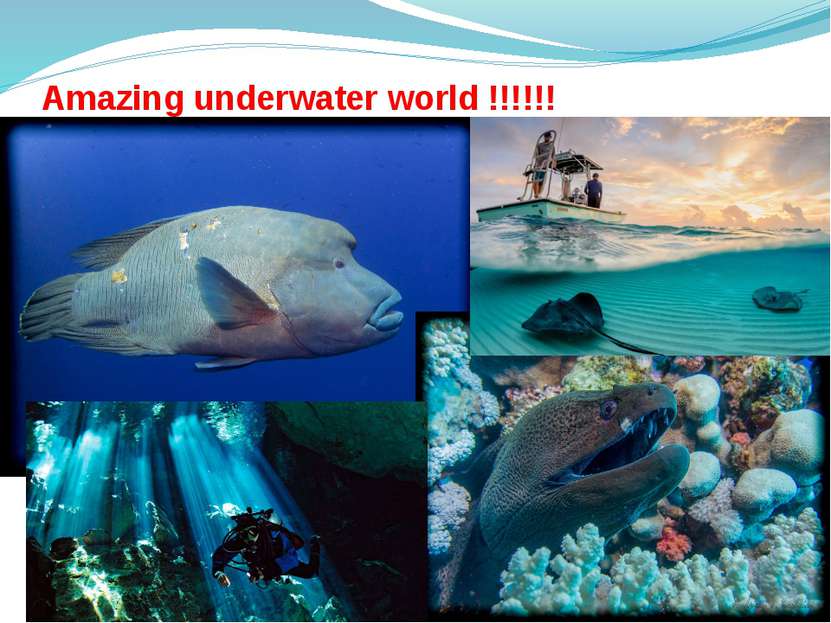 Amazing underwater world !!!!!!