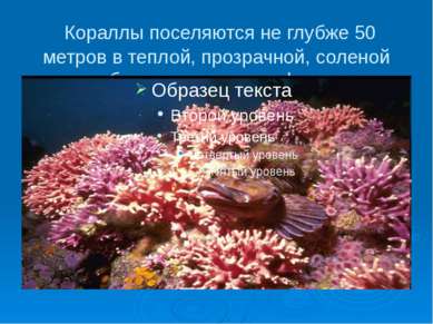 Кораллы поселяются не глубже 50 метров в теплой, прозрачной, соленой воде, об...