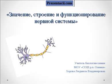«Значение, строение и функционирование нервной системы» Учитель биологии-хими...