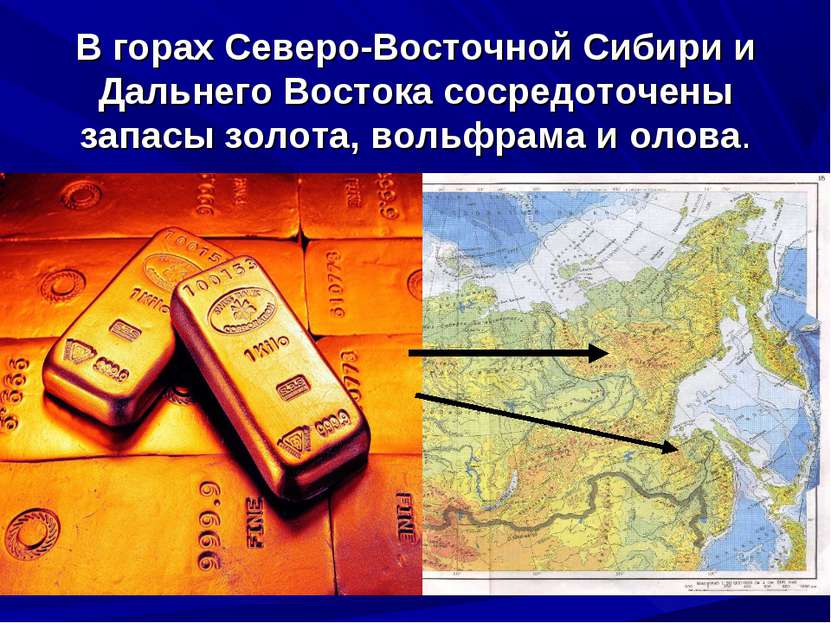 В горах Северо-Восточной Сибири и Дальнего Востока сосредоточены запасы золот...