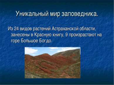 Уникальный мир заповедника. Из 24 видов растений Астраханской области, занесе...