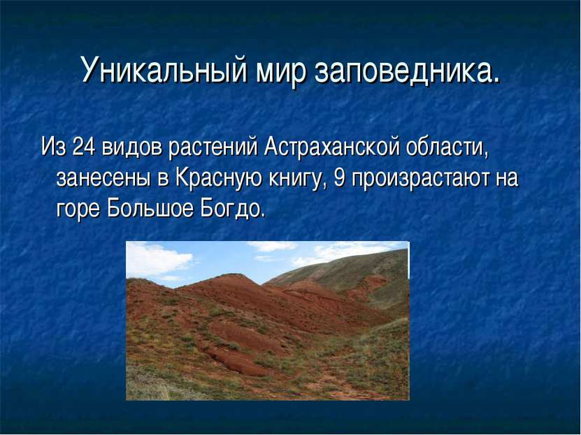 Уникальный мир заповедника. Из 24 видов растений Астраханской области, занесе...