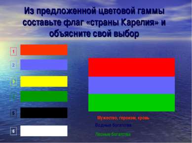 Из предложенной цветовой гаммы составьте флаг «страны Карелия» и объясните св...