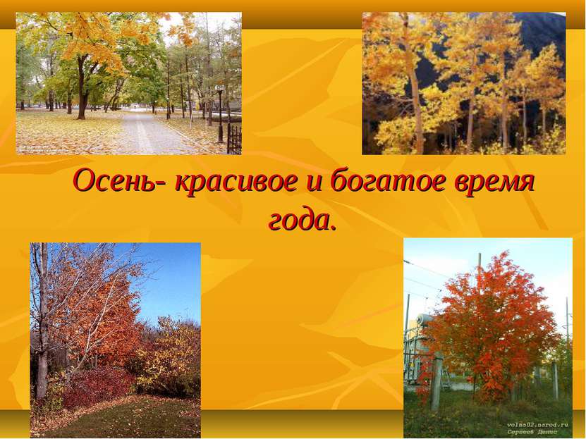 Осень- красивое и богатое время года.
