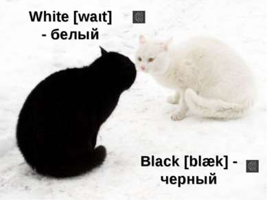 White [waιt] - белый Black [blæk] - черный