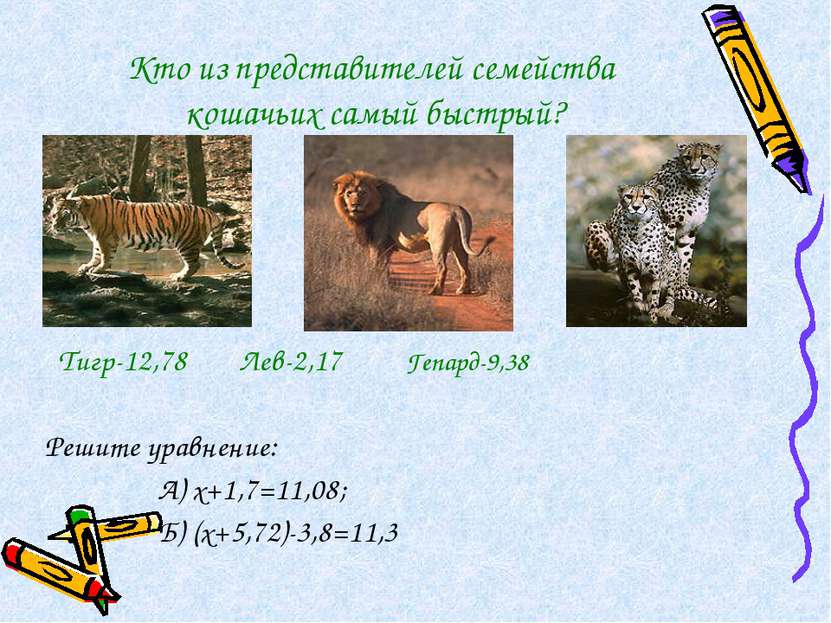 Кто из представителей семейства кошачьих самый быстрый? Тигр-12,78 Лев-2,17 Г...