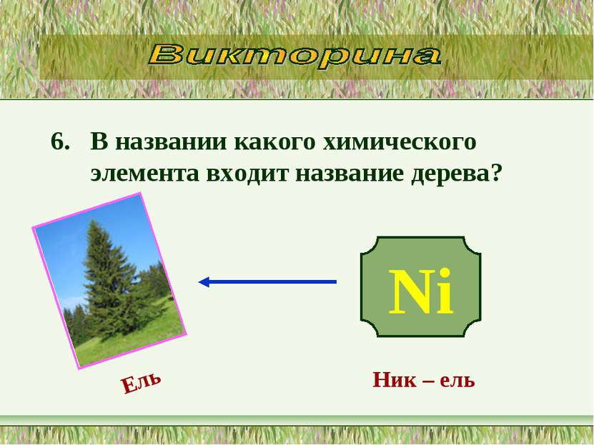 6. В названии какого химического элемента входит название дерева? Ni Ник – ел...