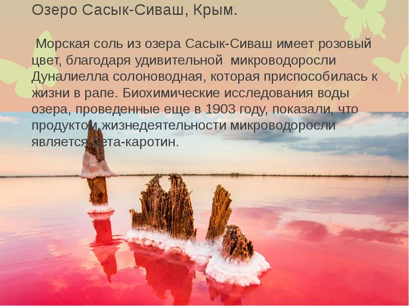 Озеро Сасык-Сиваш, Крым. Морская соль из озера Сасык-Сиваш имеет розовый цвет...