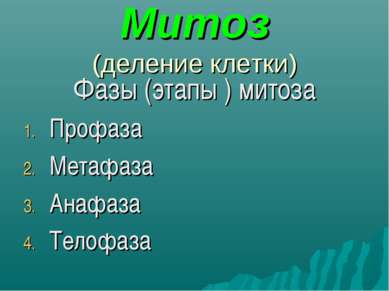 Митоз (деление клетки) Фазы (этапы ) митоза Профаза Метафаза Анафаза Телофаза