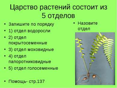 Царство растений состоит из 5 отделов Запишите по порядку 1) отдел водоросли ...