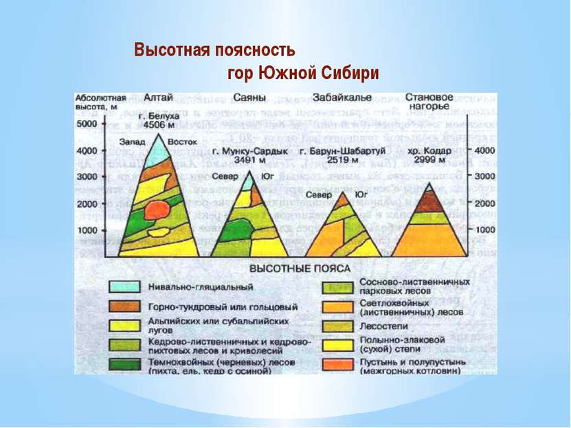 Высотная поясность гор Южной Сибири