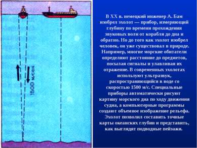 В XX в. немецкий инженер А. Бам изобрел эхолот — прибор, измеряющий глубину п...