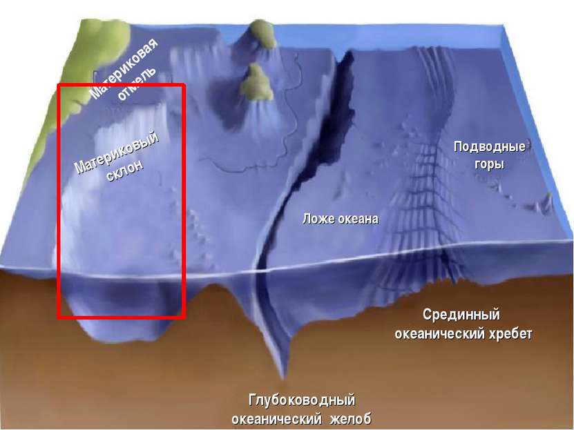 Рельеф дна Мирового океана Материковая отмель Материковый склон Ложе океана Г...