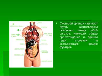 Системой органов называют группу анатомически связанных между собой органов, ...