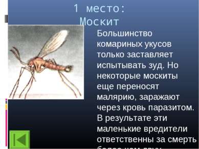 1 место: Москит Большинство комариных укусов только заставляет испытывать зуд...
