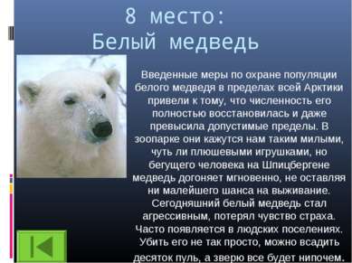 8 место: Белый медведь Введенные меры по охране популяции белого медведя в пр...