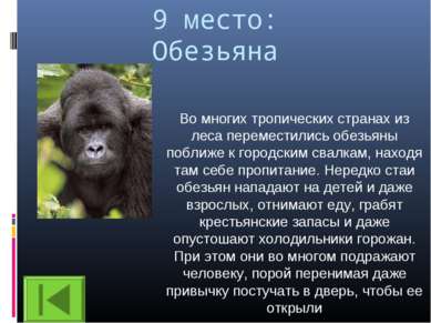 9 место: Обезьяна Во многих тропических странах из леса переместились обезьян...