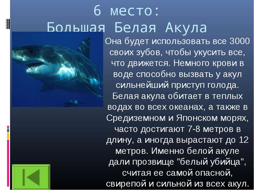 6 место: Большая Белая Акула Она будет использовать все 3000 своих зубов, что...