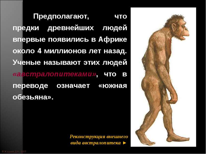 © Жадаев Д.Н., 2005 Предполагают, что предки древнейших людей впервые появили...