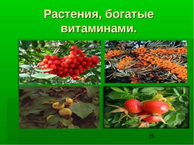 Растения, богатые витаминами.