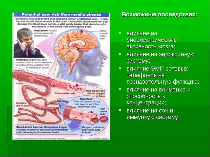 влияние на биоэлектрическую активность мозга; влияние на эндокринную систему;...