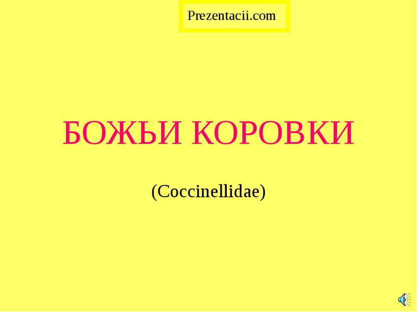 БОЖЬИ КОРОВКИ (Coccinellidae) Prezentacii.com