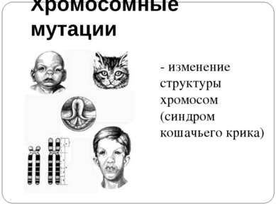 Хромосомные мутации - изменение структуры хромосом (синдром кошачьего крика)
