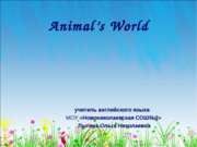 Animal’s world