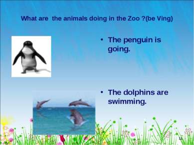 * What are the animals doing in the Zoo ?(be Ving) The penguin is going. The ...