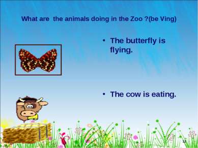 * What are the animals doing in the Zoo ?(be Ving) The butterfly is flying. T...
